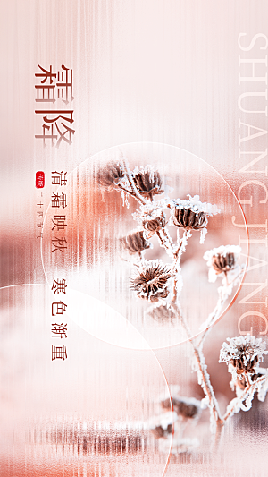 霜降节气简约大气海报