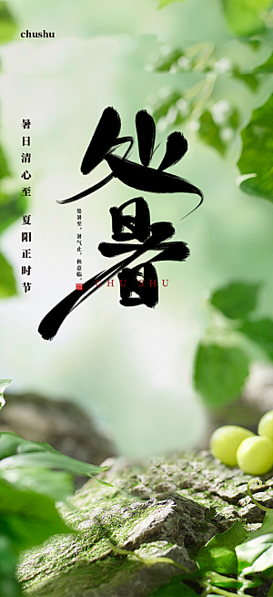 夏日二十四节气处暑节气炎热节气海报