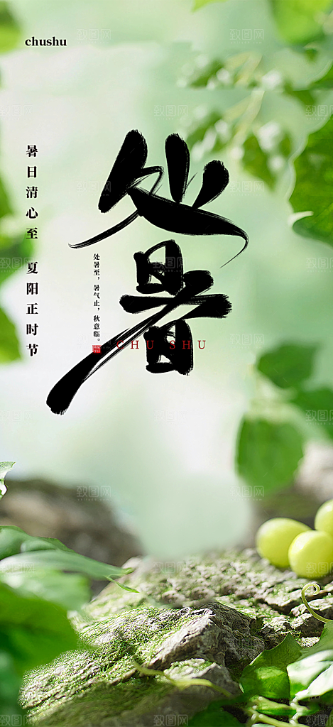 夏日二十四节气处暑节气炎热节气海报