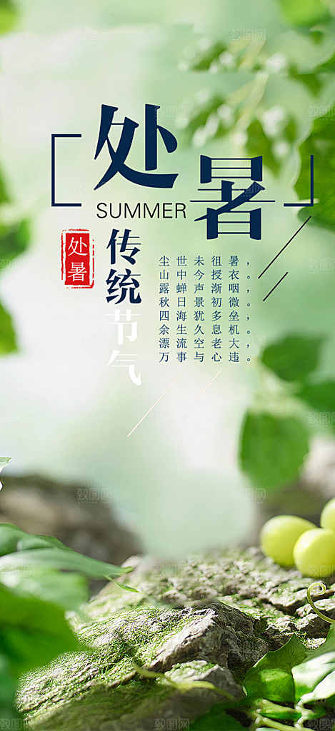 二十四节气处暑节气炎热节气海报