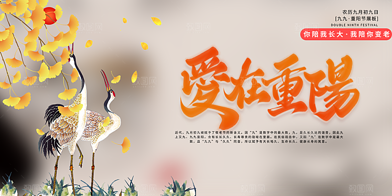 重阳节宣传活动展板