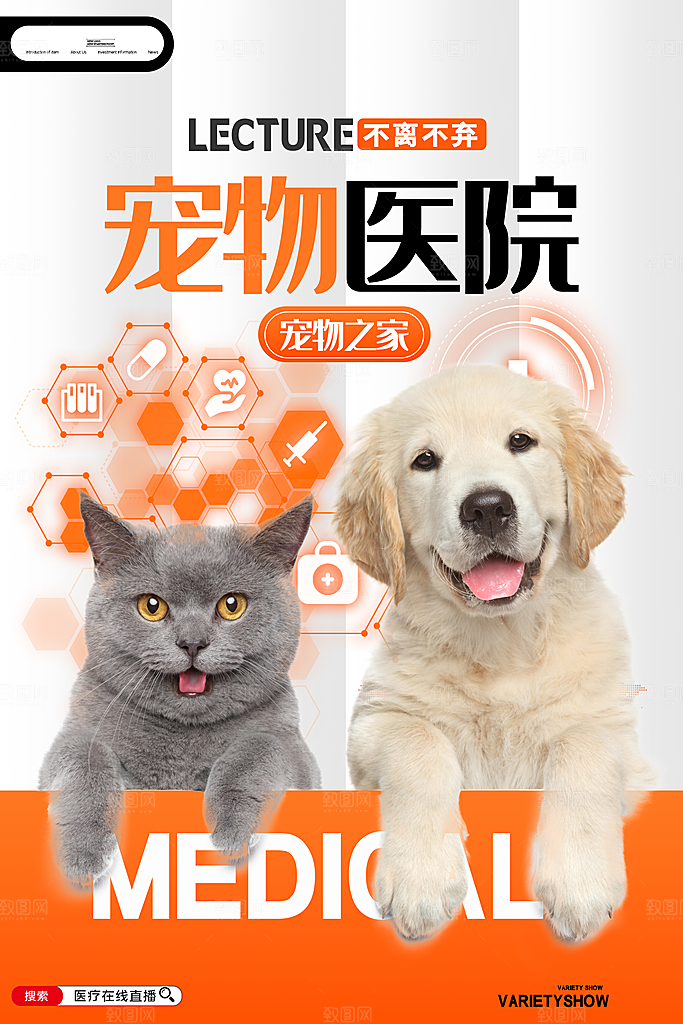 简约大气萌宠宠物活动宣传海报