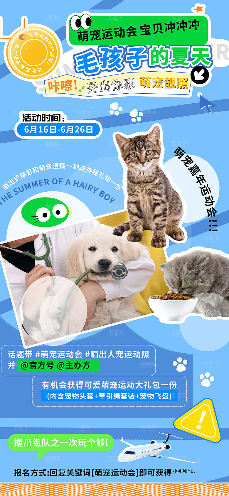 简约大气萌宠宠物活动宣传海报