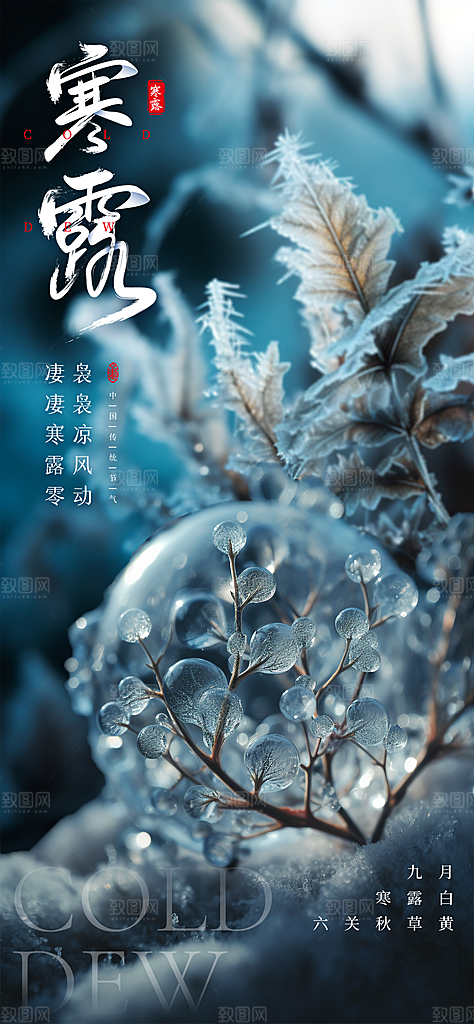 中国寒露节气手机海报