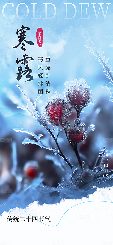 中国传统节气寒露手机海报