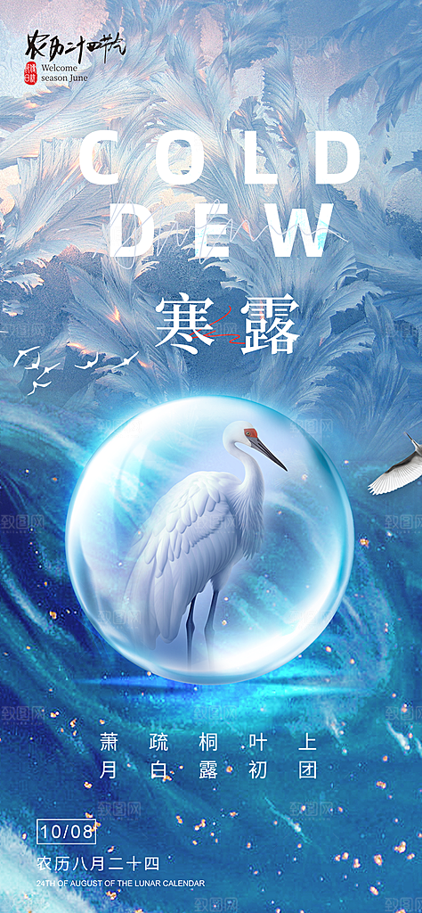中国传统节气寒露手机海报