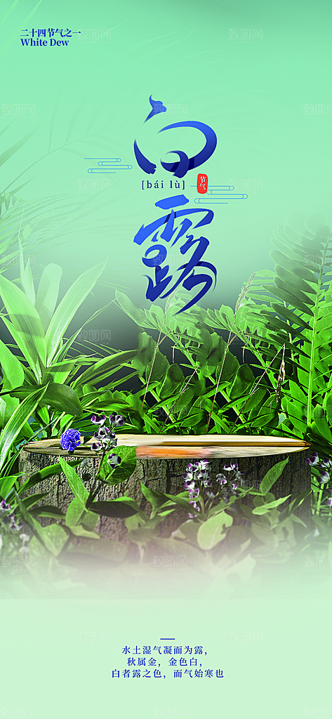 大气传统白露二十四节气海报