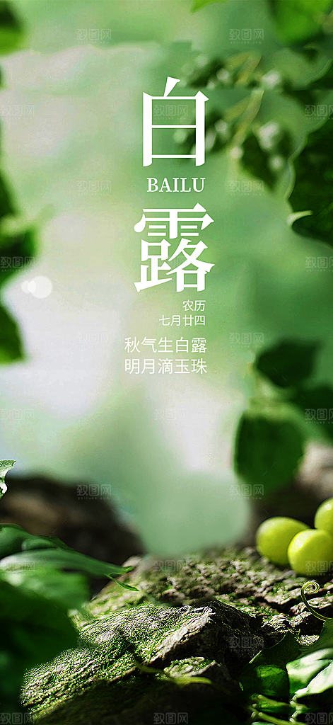 大气传统白露二十四节气海报