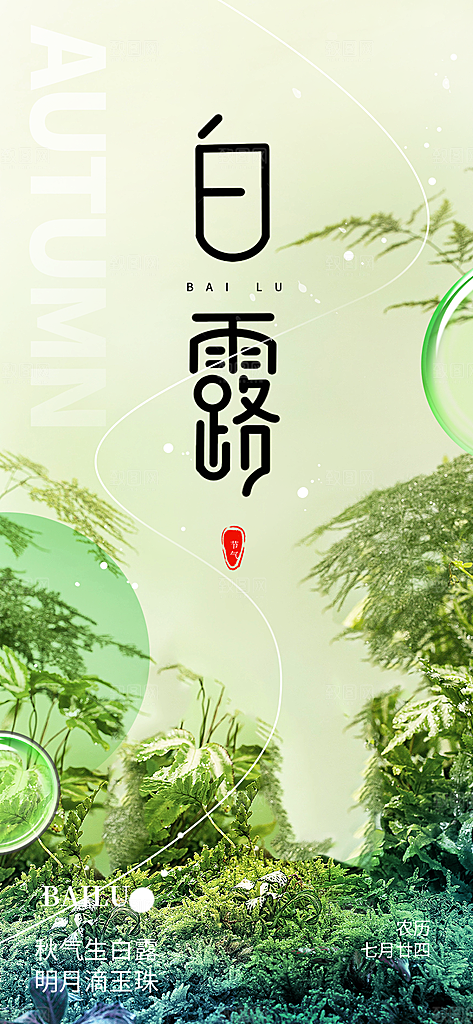 大气传统白露二十四节气海报