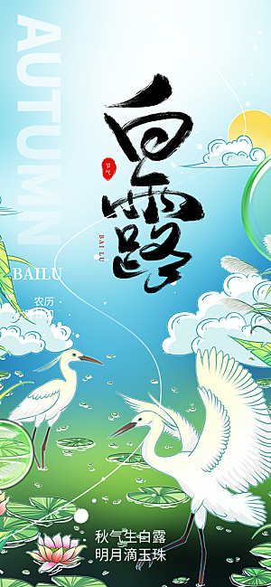 大气传统白露二十四节气海报