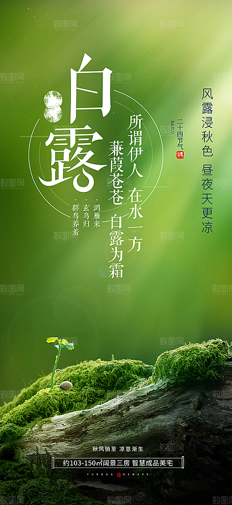 大气传统白露二十四节气海报