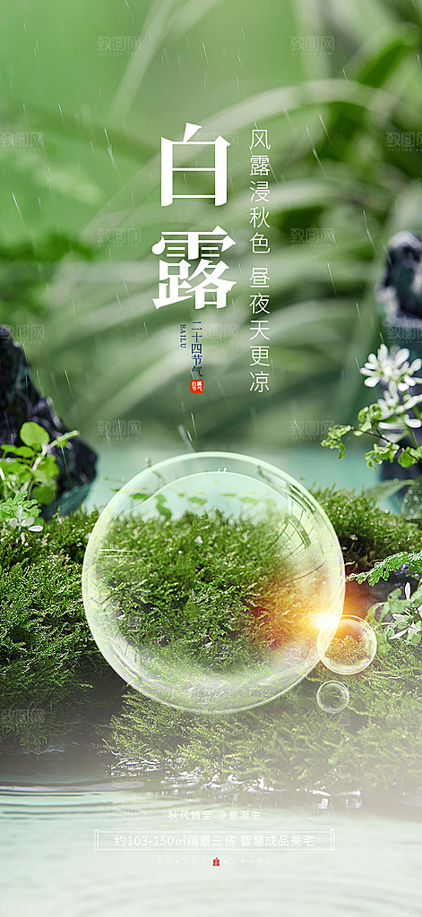 大气传统白露二十四节气海报