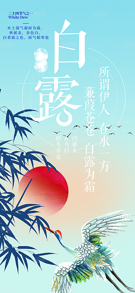 大气传统白露二十四节气海报