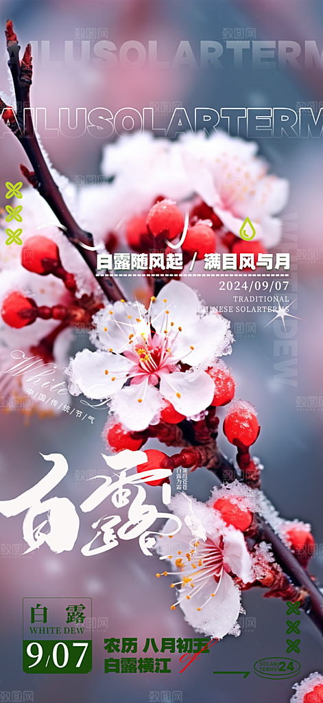 大气传统白露二十四节气海报