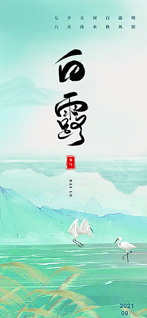 白露二十四节气海报