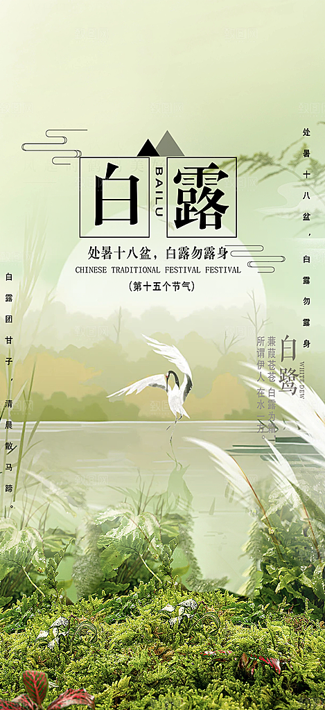 白露二十四节气海报
