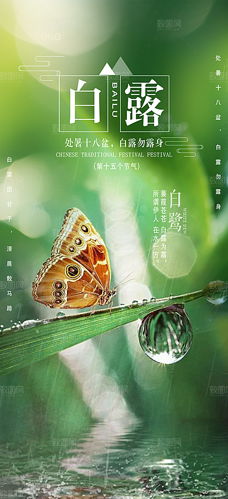 白露二十四节气海报