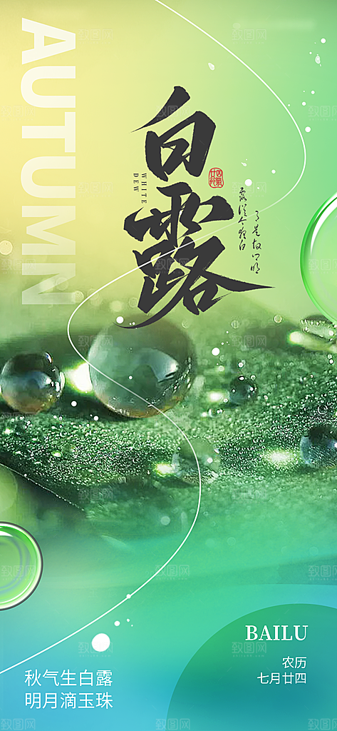 传统白露二十四节气海报