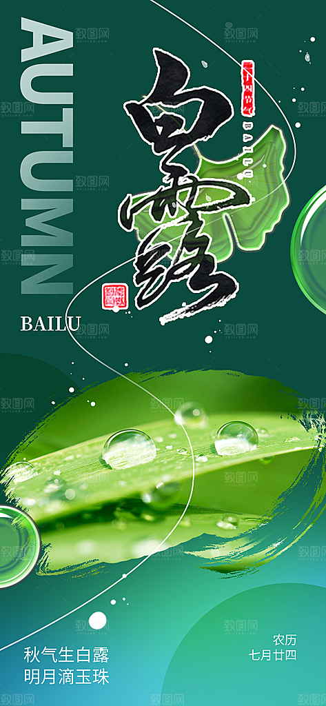 传统白露二十四节气海报