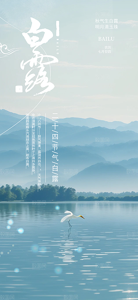 传统白露二十四节气海报