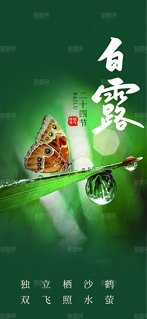 传统白露二十四节气海报
