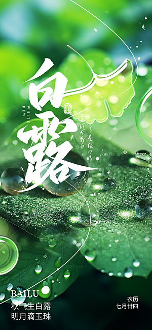 传统白露二十四节气海报