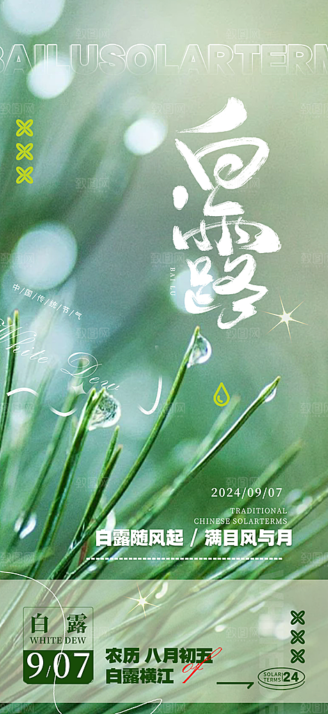 传统白露二十四节气海报