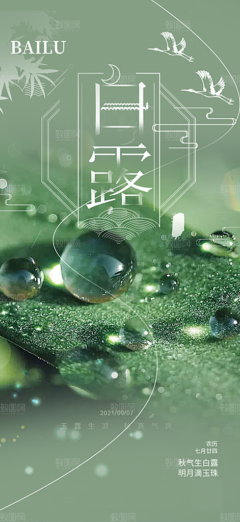 传统白露二十四节气海报