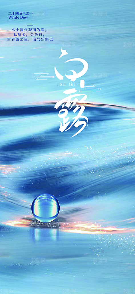 大气传统白露二十四节气海报