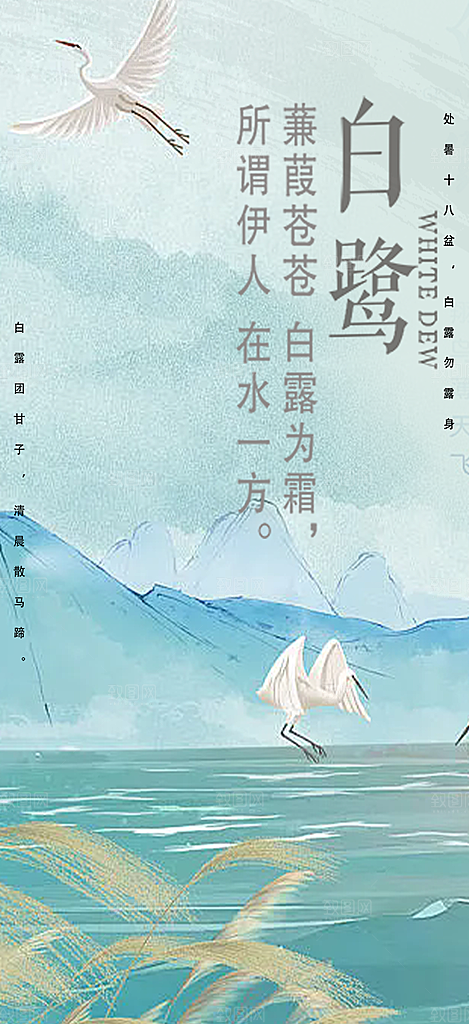 大气传统白露二十四节气海报