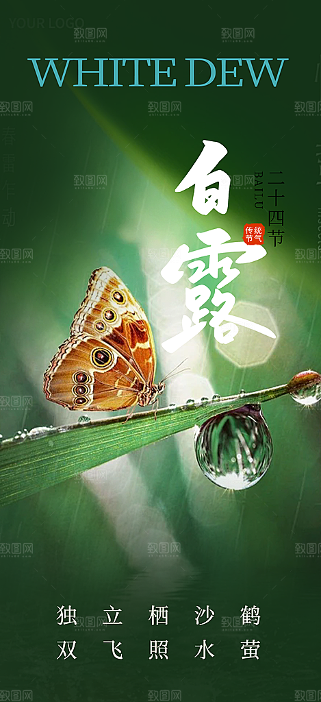 大气传统白露二十四节气海报