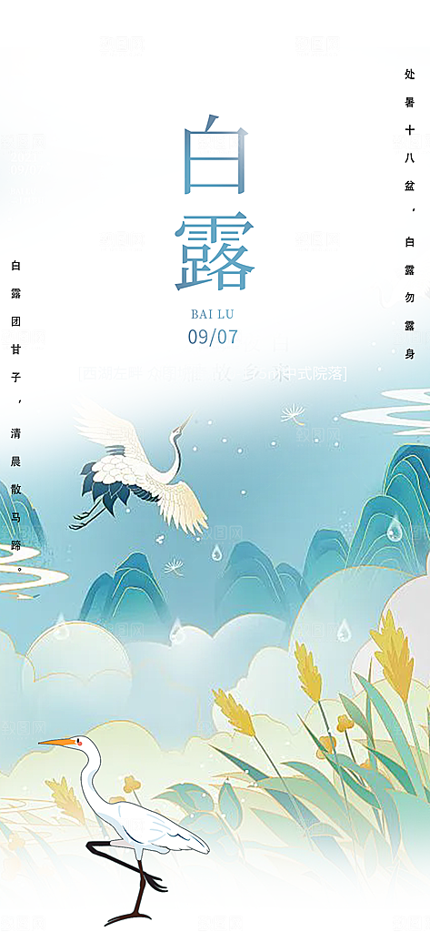 大气传统白露二十四节气海报