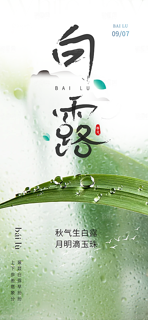 大气传统白露二十四节气海报