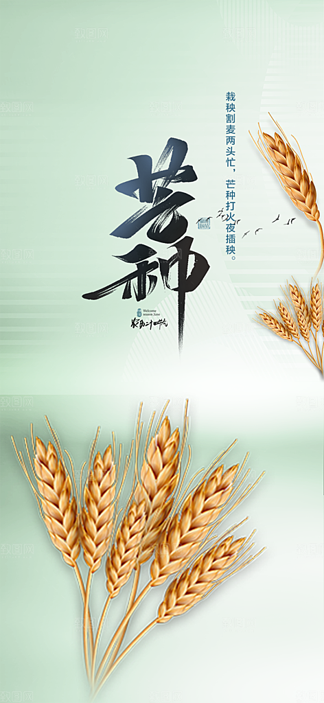 大气传统芒种二十四节气海报