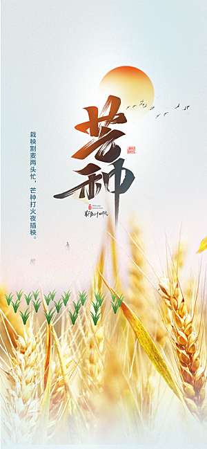 大气传统芒种二十四节气海报