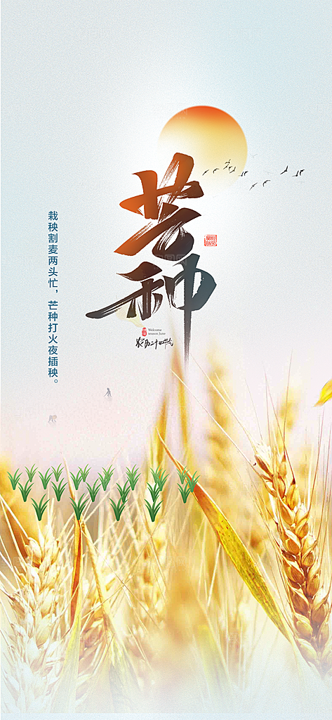 大气传统芒种二十四节气海报