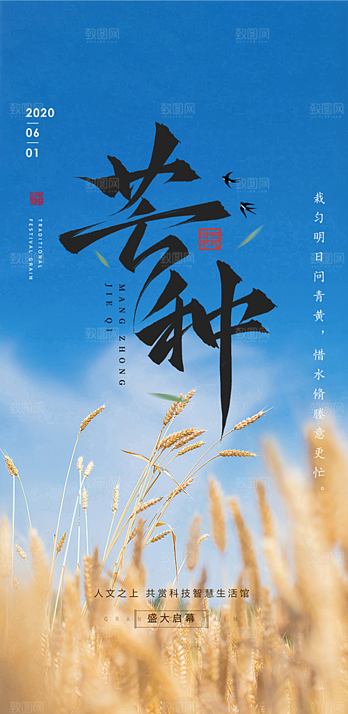 大气传统芒种二十四节气海报
