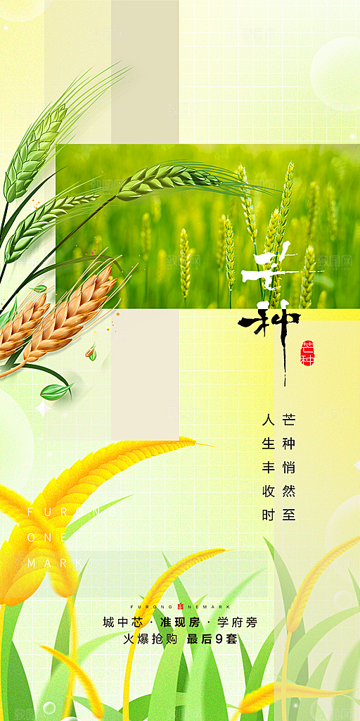 传统芒种二十四节气海报
