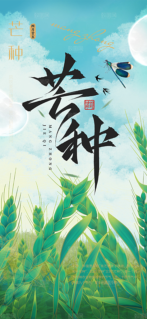 传统芒种二十四节气海报