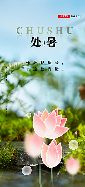 夏日夏天处暑二十四节气海报