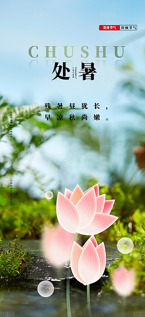 夏日夏天处暑二十四节气海报