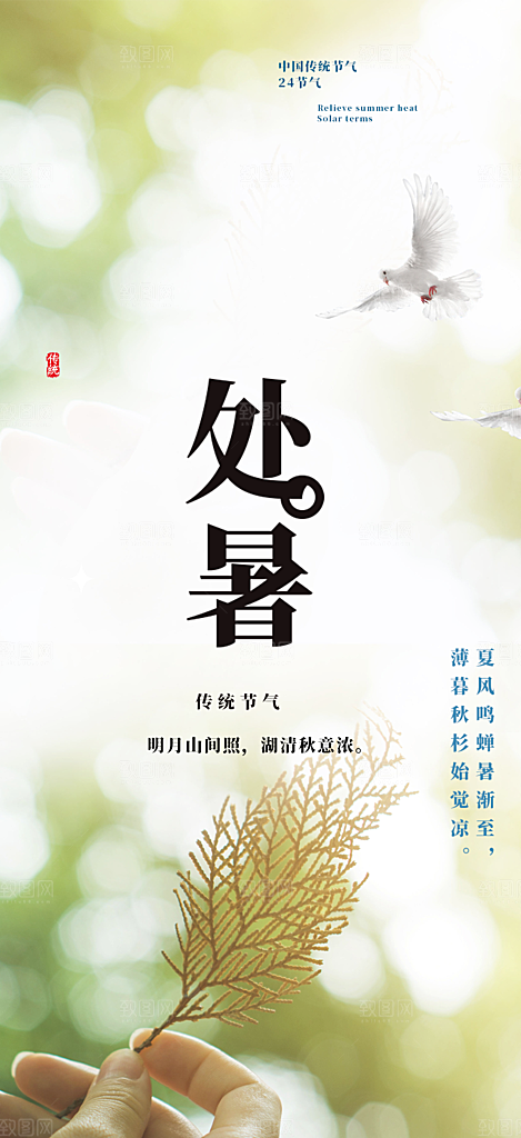夏日夏天处暑二十四节气海报