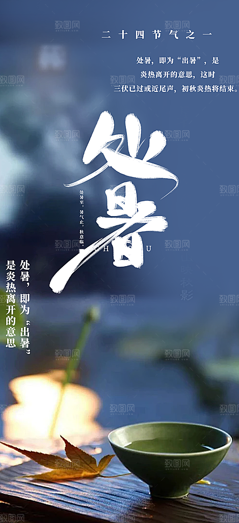 浅色夏日夏天处暑二十四节气海报