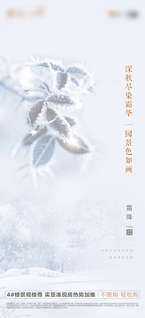 霜降节气简约大气海报