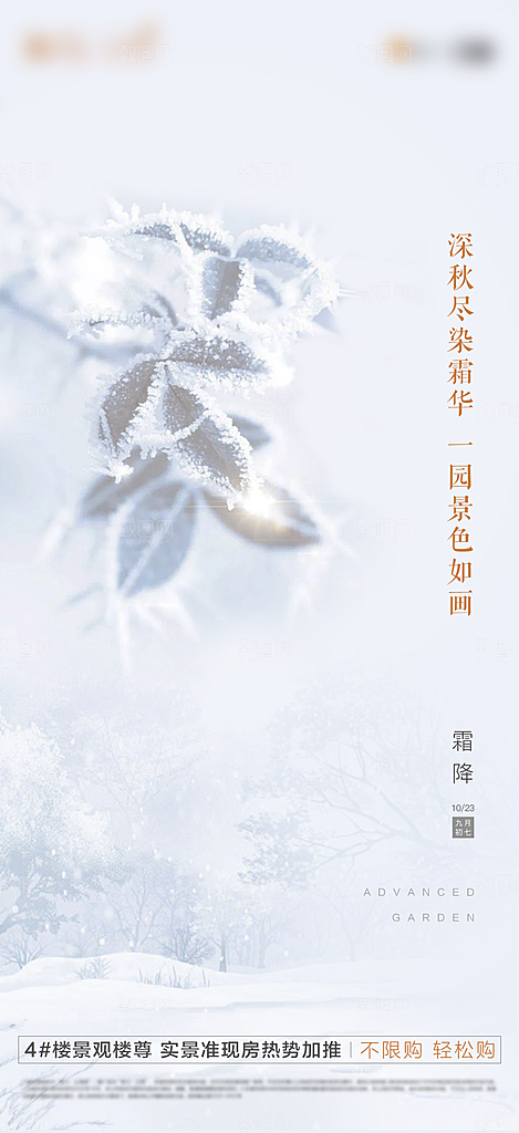 霜降节气简约大气海报