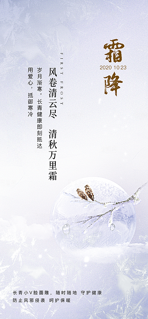 霜降节气简约大气海报