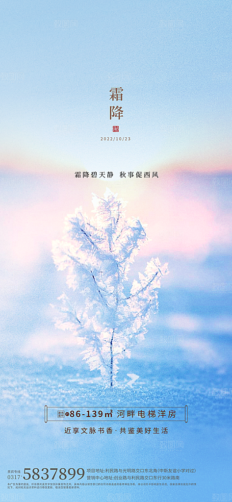 霜降节气简约大气海报
