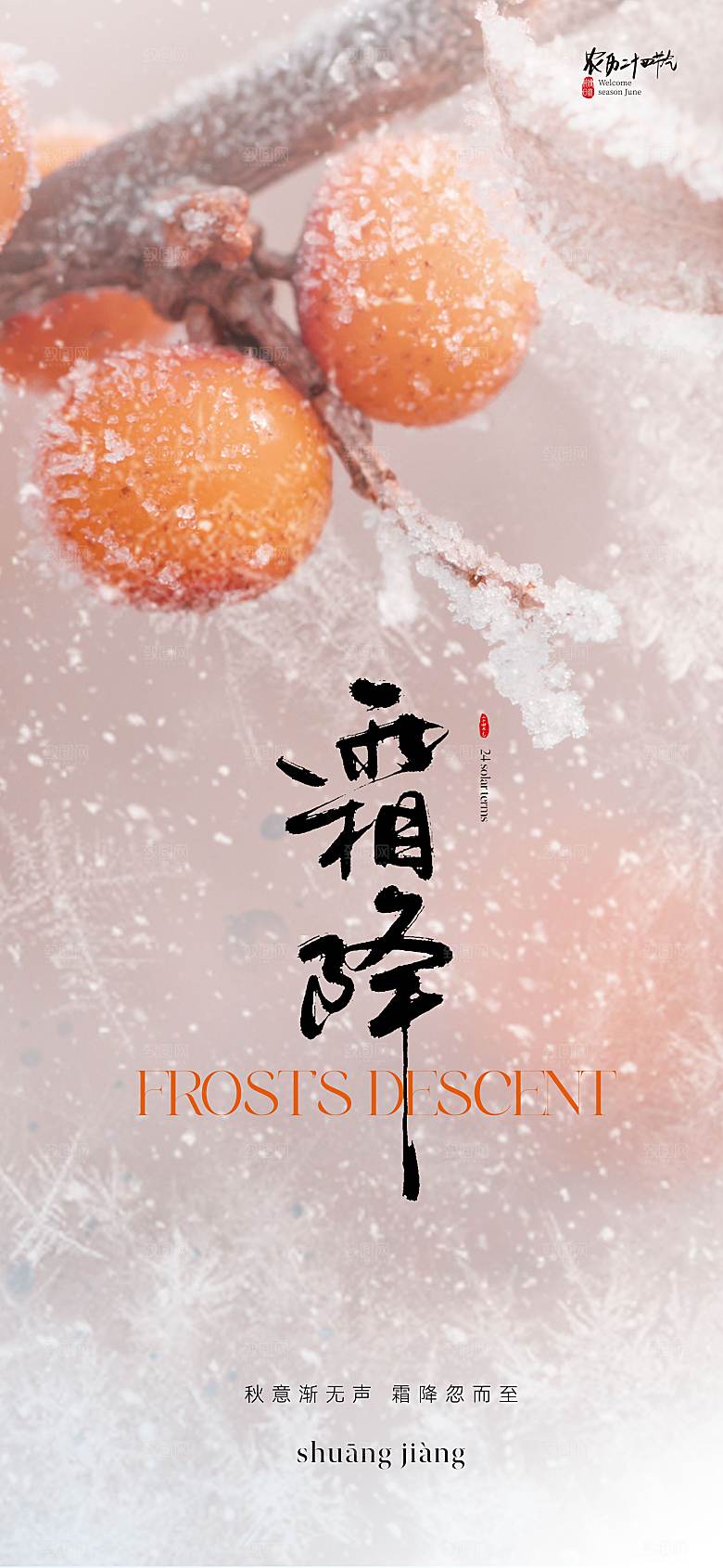 霜降节气简约大气海报