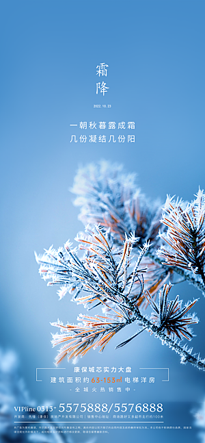 传统节气霜降海报模版