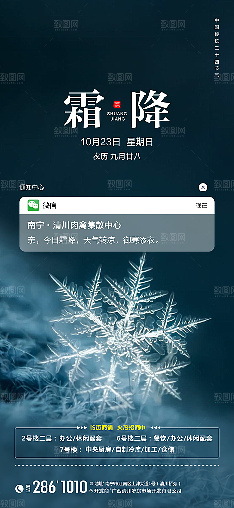 霜降节气简约大气海报